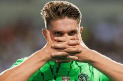 开云官网-阿森纳告负在即，欧洲之行难再延